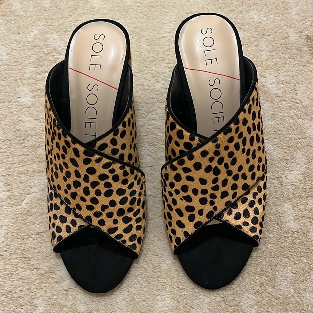 SOLE SOCIETY Luella Leopard Print Mules